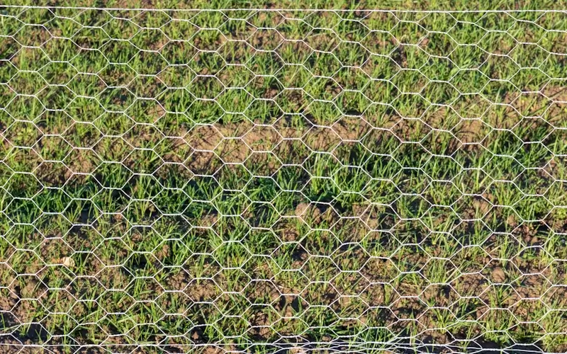 Imagen de Malla Hexagonal DEACERO®